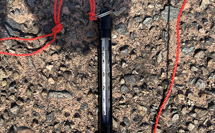 春アオリイカが好調！　福井のヤエン釣りで2.44kg頭に大型アオリ3杯をキャッチ