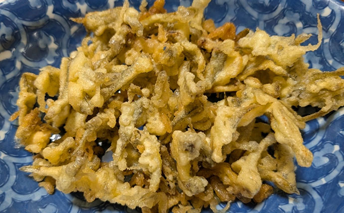 江戸川放水路で越冬ハゼ（ヒネハゼ）釣り開幕【たかはし遊船】マハゼ127匹と大漁！
