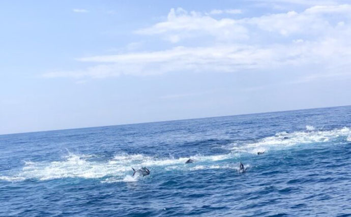 クロマグロ釣りを始めよう！ 北海道で広がるキャスティングゲームの魅力とは