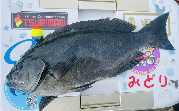 深島の磯で40cm超え良型クロが連発！ 潮変わりにはオオモンハタも登場【大分】