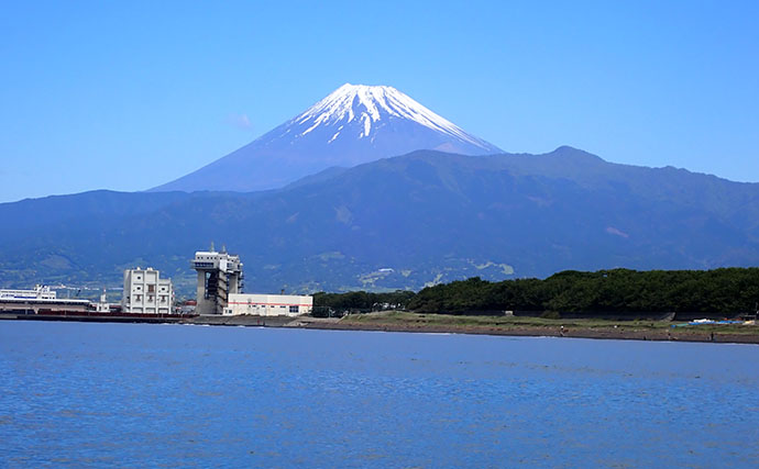 春の沼津でボートから乗っ込みマダイを狙う！【静岡】トラブル続出もイトヨリ3匹を手中