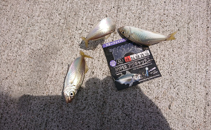『清水港海づり公園』でちょい投げとサビキ釣り満喫【静岡】シロギス連打にマメアジ入れ食い！
