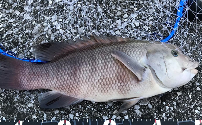 釣果写真がワンランクアップ　魚を美しく撮影する簡単テクニック3選を解説