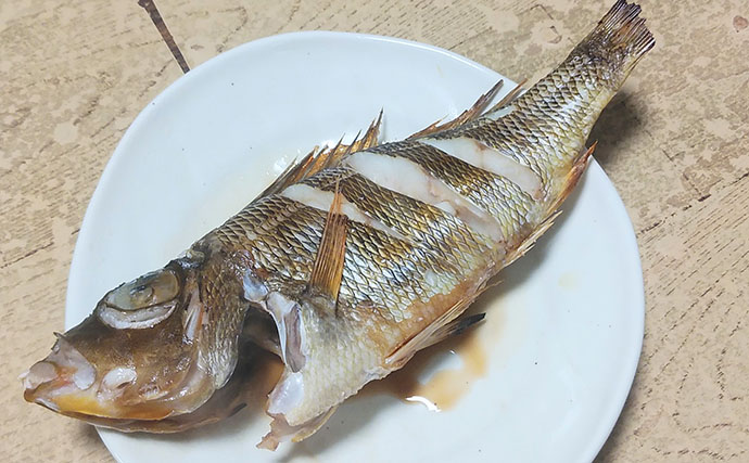 釣魚で作る「日本酒にうってつけ」レシピ：ロギのちょい干し　冷蔵庫で干せば旨み凝縮
