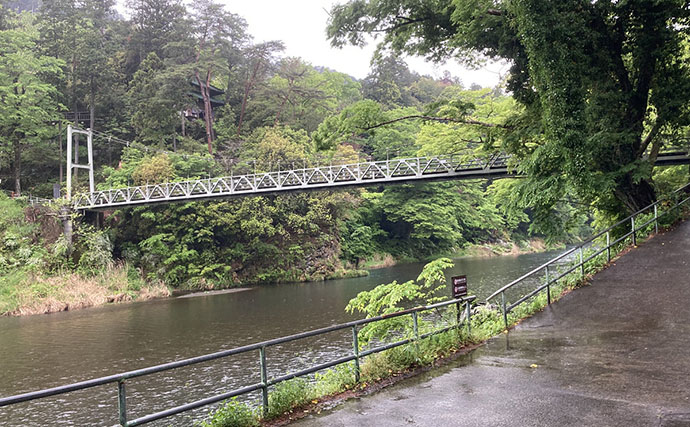 関東の溪流釣り釣果レポート：奥多摩川本流エサ釣りでニジマス＆ヤマメ好反応【東京】