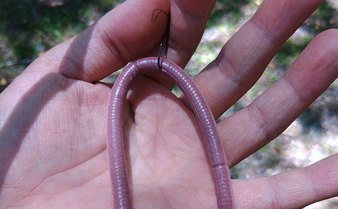 紀伊半島リザーバーで63cmモンスターバス降臨　長年追い続けた『琵琶湖以外のロクマル』達成の瞬間