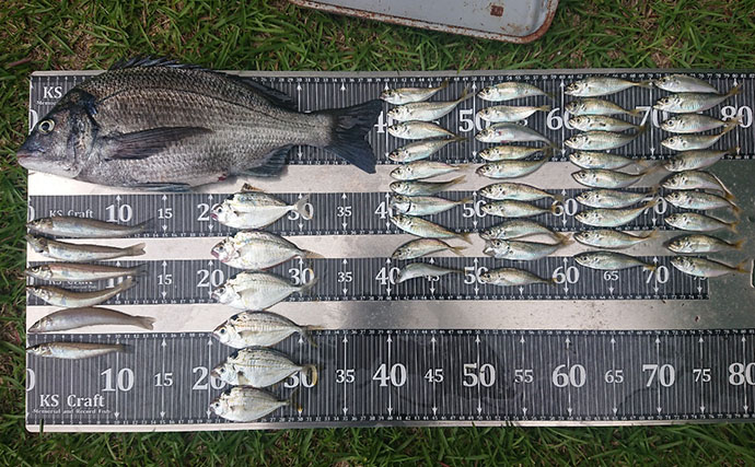 今年オープンの『清水港海づり公園』を徹底解説　釣れる魚・ルール・アクセス・持ち物まとめ