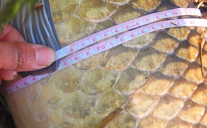 ニゴイ狙いで想定外の96cm大ゴイがヒット　ライトタックルで45分の死闘を制す【荒川】