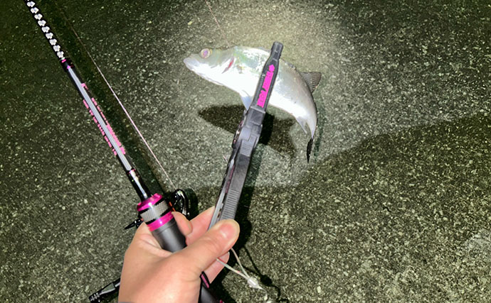 考え過ぎて迷走しがちなルアーマン必見！　簡単「五目釣りメソッド」で多魚種が連発