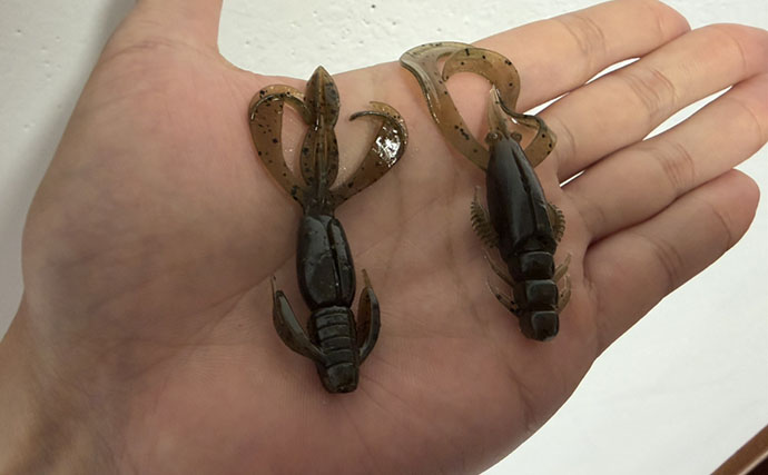 シーズン序盤のチニングゲームで40cm超え頭にチヌ2尾【三浦半島】ストレートフックが的中