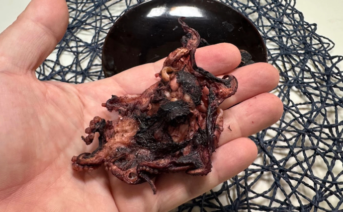 深海の人気アイドル『メンダコ』を食べてみた　飲み込めないほどの味と臭いに衝撃　