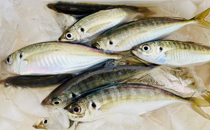 船釣りの専門家が「転びにくくなるシャツ」を検証　風速10mの中で1日船釣りをしてみた