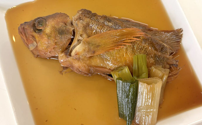 北海道の深海に潜む「ヤナギノマイ」ってどんな魚？　釣って楽しい・食べて美味しい魅力を紹介