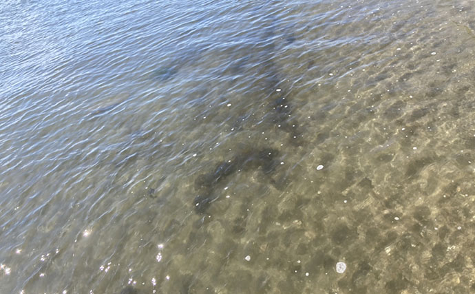 「砂ではなく変化を見つけよう！」 投げキス釣りで釣果を伸ばす【5つの地形】の見方