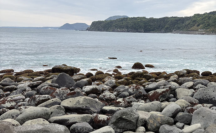 初夏はゴロタ場で根魚狙いが面白い！【伊豆半島】ライトルアー釣りでムラソイにカサゴ