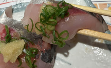 大阪湾沿岸ライトゲームで「最もレアなターゲット」は何？　釣れる魚種は豊…