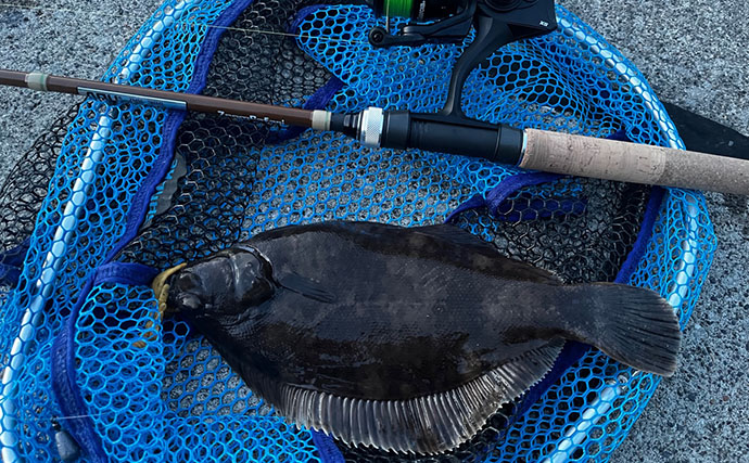カレイをルアーで狙う「カレイイング」に初挑戦【北海道】イシガレイ＆クロガシラカレイをキャッチ！