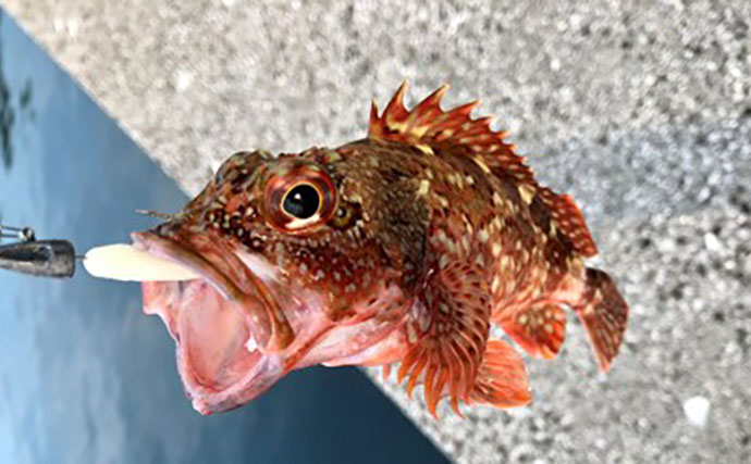 釣果写真がワンランクアップ　魚を美しく撮影する簡単テクニック3選を解説