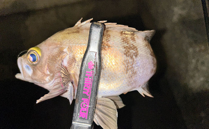 考え過ぎて迷走しがちなルアーマン必見！　簡単「五目釣りメソッド」で多魚種が連発