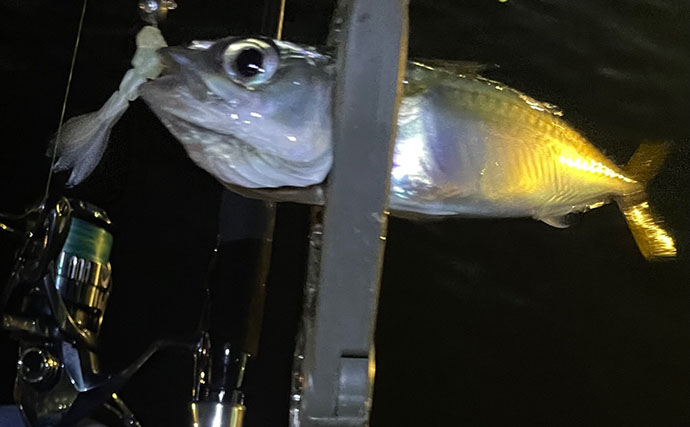 「梅雨の釣りは小雨と大雨で何が違う？」 魚の活性を左右する海中変化を解説