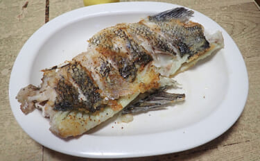 釣った魚で作る「簡単調理」レシピ：クロダイの揚げ焼き　カリカリに焼いて
