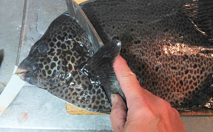 釣魚で作る「夏バテ防止」レシピ：イシガキダイの冷や汁　ベースは冷凍保存も可能