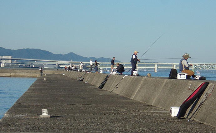 泉佐野一文字で青物狙いノマセ釣りに挑戦【大阪】本命不発も赤灯台周りで小アジ＆サッパ確保