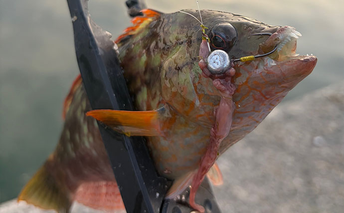 釣りをしない人からよく聞かれる5つの疑問　「魚を持ち帰らないのになぜ釣りをするの？」
