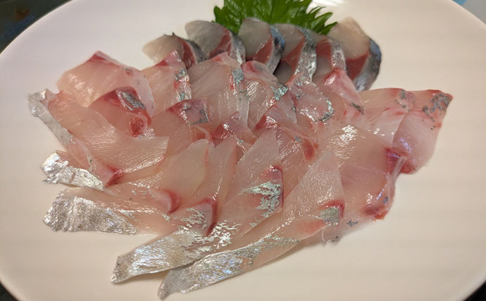 本州最南端・串本で五目ジギング満喫　苦戦しながらも美味魚でクーラー満タン！