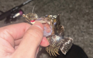 夜の堤防釣りを短時間で楽しむなら「カサゴルアー釣り」がおすすめ！　初心…