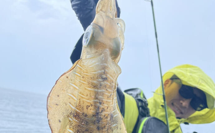 春イカ狙いエギングタックルを使って楽しむ夏の釣りのススメ　汎用性はかなり高いぞ！