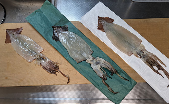 釣り人の特権『イカの沖干し』は寝かせるともっとウマい？ 3種の保存方法を徹底検証