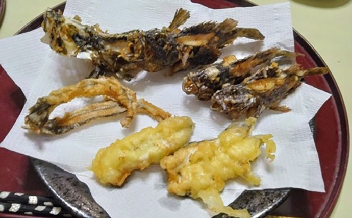 日本最古の人工島は根魚パラダイスだった【和賀江島・鎌倉】穴釣りでギンポを狙う！