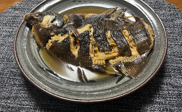 釣った2種のカレイ煮付けを食べ比べしてみた！ イシガレイとクロガシラカレイどっちが美味しい？