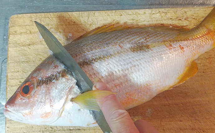 「淡白な魚にオススメ」レシピ：ヨコスジフエダイの若狭焼き　薄味がポイント