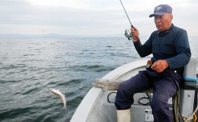 夏を代表する魚「キス（シロギス）」を船で釣ろう！【タックル・仕掛け・エサ・釣り方を解説】