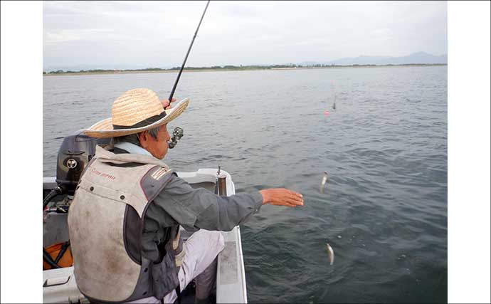 夏を代表する魚「キス（シロギス）」を船で釣ろう！【タックル・仕掛け・エサ・釣り方を解説】