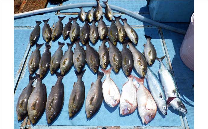 ジャンボサイズのキスが順調にヒット中！【船のエサ釣り釣果速報8選・愛知】