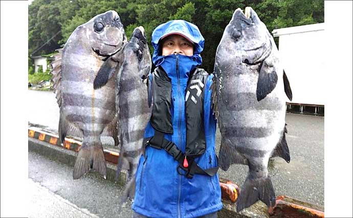 イシダイが船中2桁釣果！トップ4匹と快釣【船エサ釣り釣果速報8選・三重】