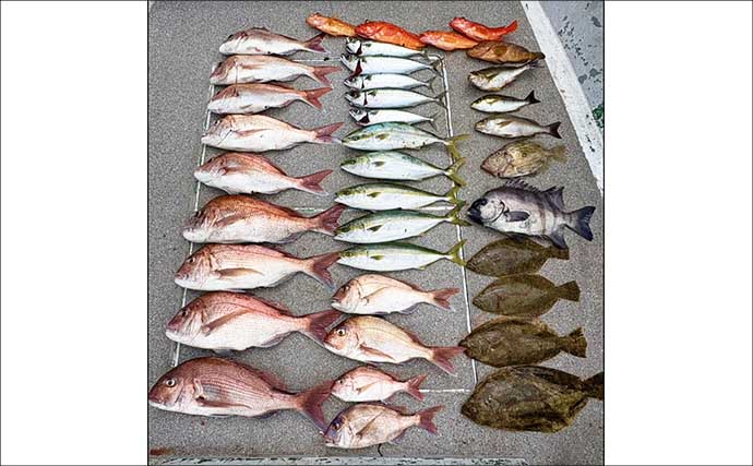 イシダイが船中2桁釣果！トップ4匹と快釣【船エサ釣り釣果速報8選・三重】