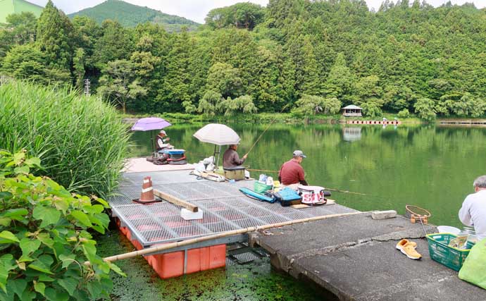 今週のヘラブナ「ピックアップ」釣り場2026【静岡県・野守の池】