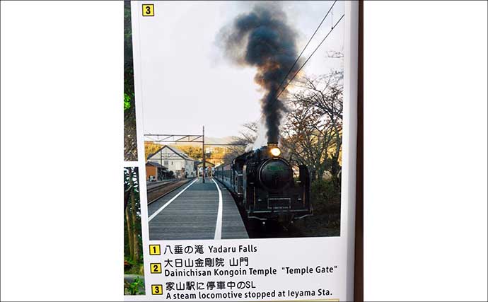 今週のヘラブナ「ピックアップ」釣り場2026【静岡県・野守の池】