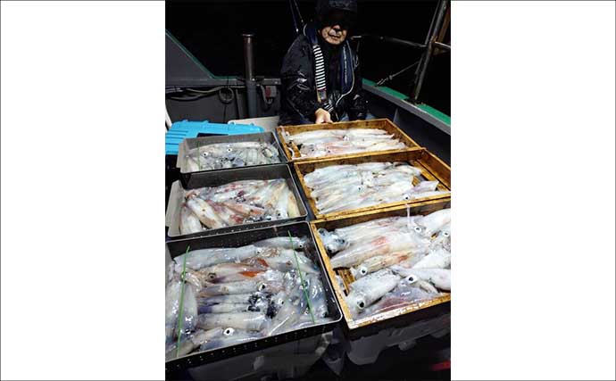 連日イカ100尾前後と釣果安定！入門にも絶好のタイミングか【夜焚きイカ釣果速報20選・福岡】