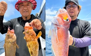 平戸沖ジギング＆キャスティングゲームで根魚にヒラマサが好調【沖釣り釣果…