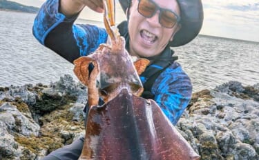 地磯エギングで1.5kgアオリイカをキャッチ【福岡】藻地帯を丁寧に探っ…