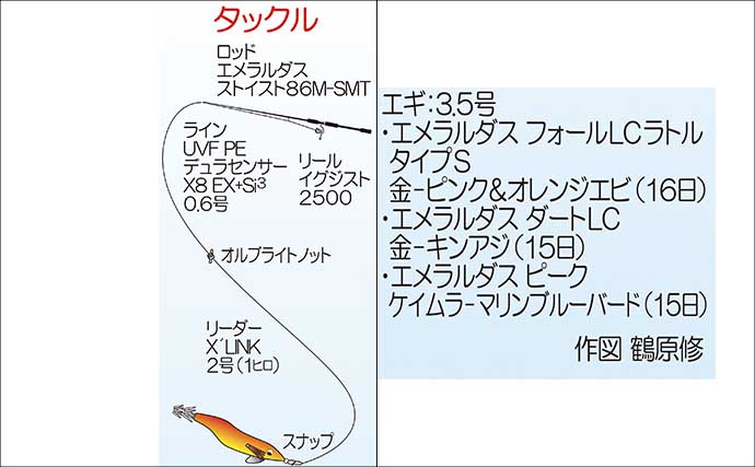 地磯エギングで1.5kgアオリイカをキャッチ【福岡】藻地帯を丁寧に探ってヒット