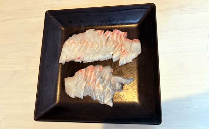 餌代0円の「貧乏スタイル？」石物釣りで見事にイシガキダイを手中！【伊豆半島・地磯】