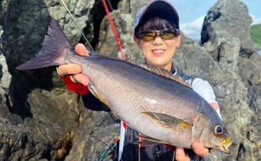 磯釣りでアカハタ・イサキ・クロ・ハマチと多彩な釣果に大満足！【深島の磯…
