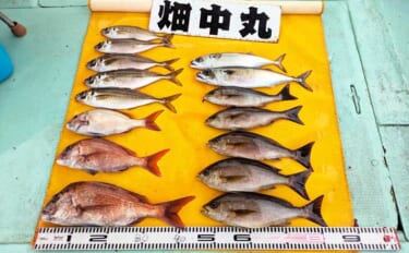 伝統釣法「高仕掛け」で速潮を攻略成功！ マダイ・アジ・イサギが続々【畑…