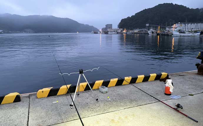 宮城遠征で良型マイワシとサバをキャッチ　ぶっこみサビキ釣行をレポート